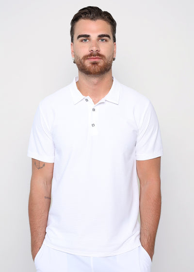 ANDY POLO
